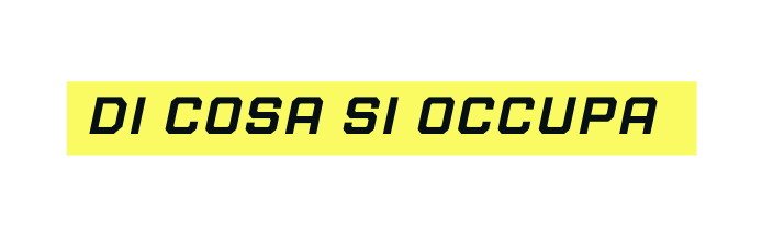 di cosa si occupa